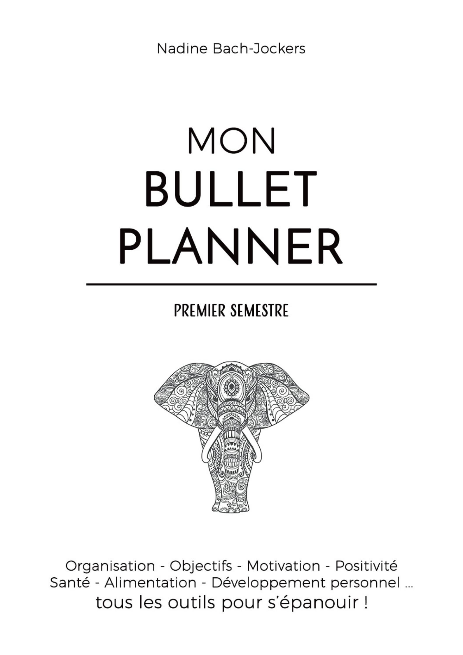 mon bullet planner santé développement personnel