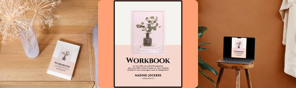 workbook gratuit introspection vie personnel bilan professionnel