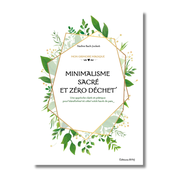 livre minimalisme zero dechet astuces diy recettes